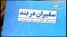 قصه‌ای که با بازگشت آزادگان به پایان نرسید؛ روایت سال‌های اسارت در استان مرکزی
